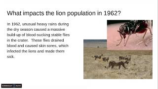 Modeling Populations