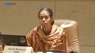 The Role of Sudanese Human Rights Defenders in Documentation, Protection, and Accountability