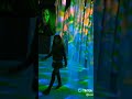 luces inversivas