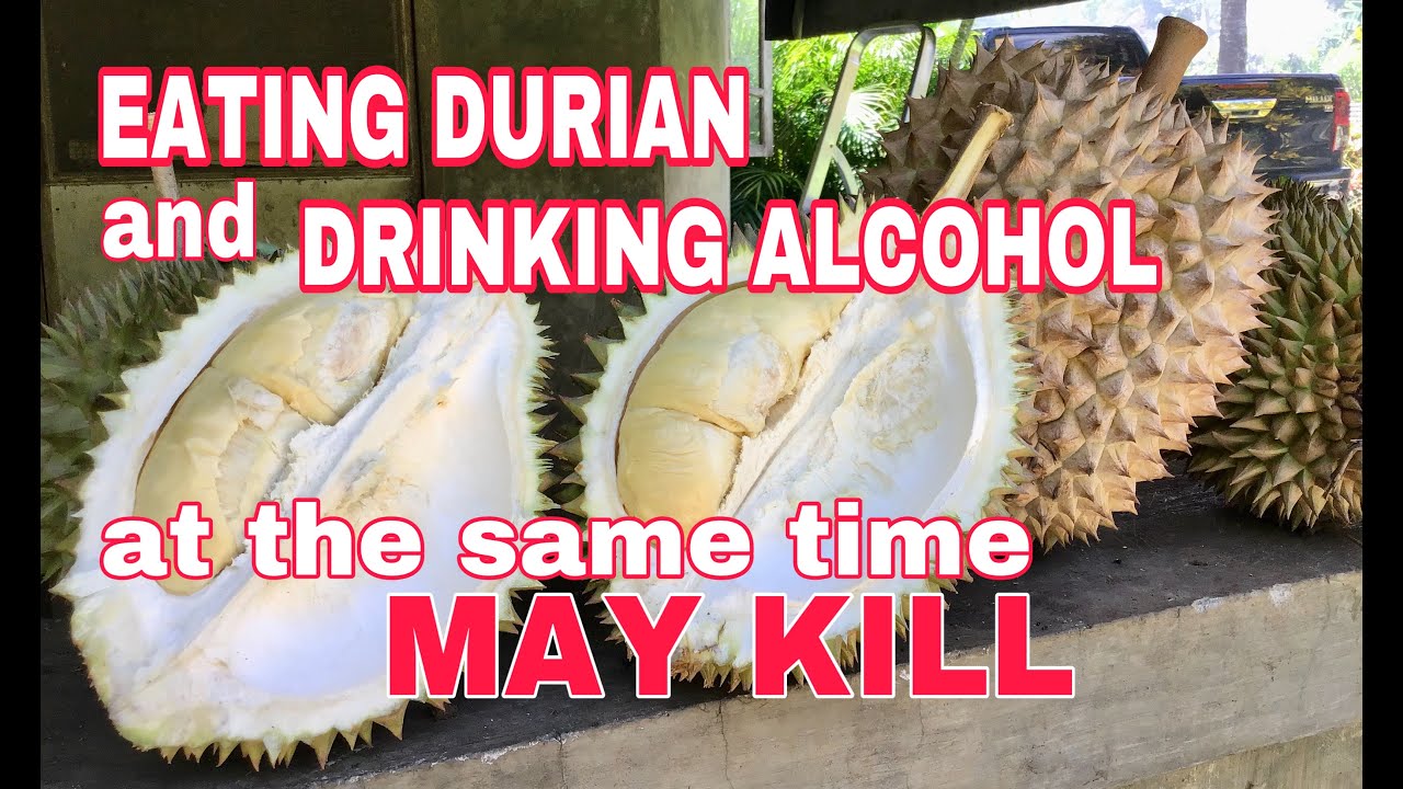 EATING DURIAN AND DRINKING ALCOHOL AT THE SAME TIME MAY KILL. Gambim