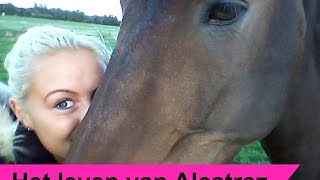 Download Lagu Het verhaal van Alcatraz - RIP ~Waargebeurd. | SophieBella ♡ MP3