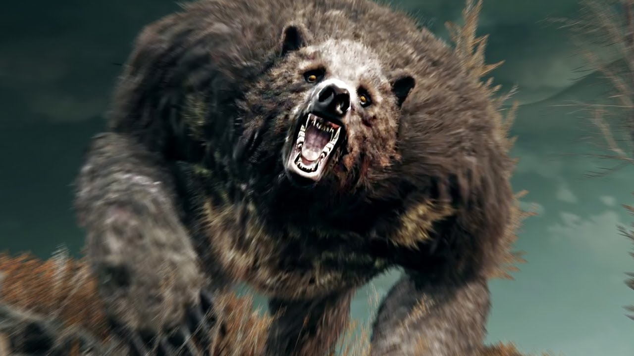 Elden Ring DLC Randomizer: All Giant Bear Moments - YouTube