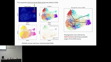 Interpretable variational encoding of genotypes... - Hoi Man Chung - EvolCompGen - ISMB 2024