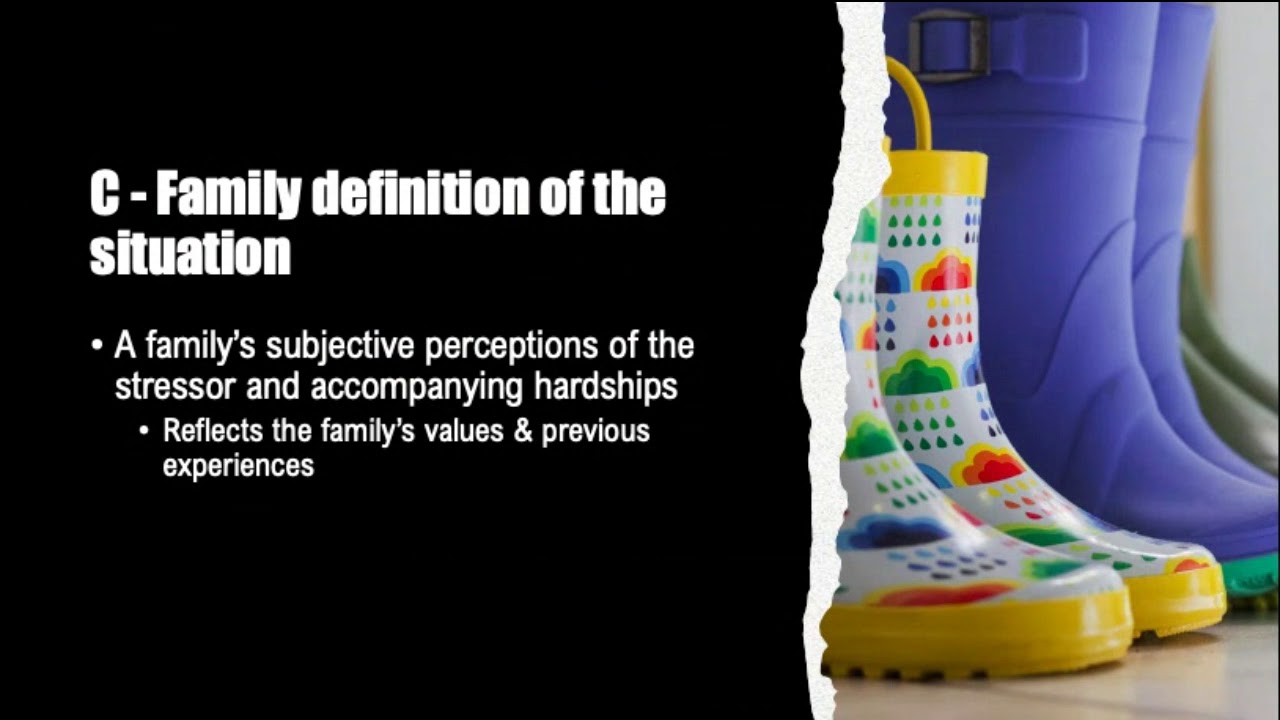 Family Stress Theory Part 1 YouTube