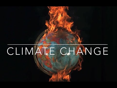 Impact of Climate Change on Sea Turtle Nesting