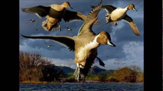 Bashar the Syrian Hunter... Hunting Duck  ( 3 ) screenshot 2
