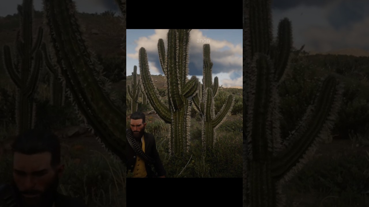 Don't Shoot A Cactus 😵 - RDR 2