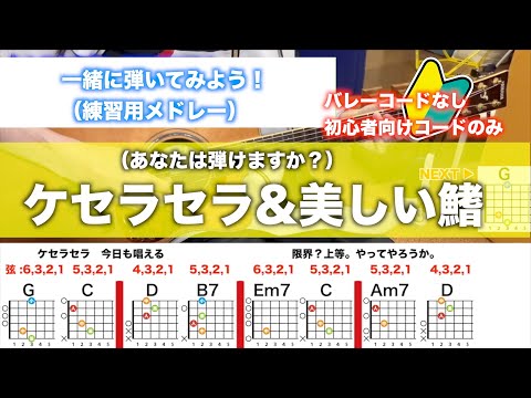 初心者向け簡単ギターで弾きたいケセラセラ&美しい鰭名曲メドレー２選12