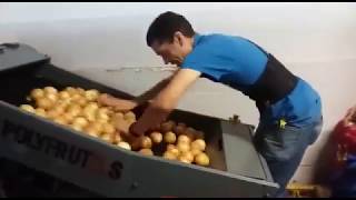 Mais um cliente satisfeito com a Polyfrutas.