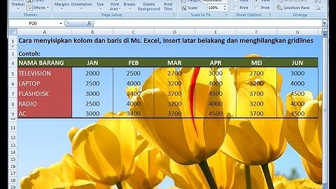 Excel 2007 tutorial | How to Insert Cells, Insert Background and Remove Gridlines