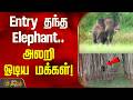 Entry தந்த Elephant.. அலறி ஓடிய மக்கள்! | Maruthampaarai Elephant News | Kanniyakumari |