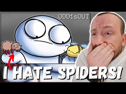 I HATE SPIDERS!