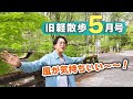 【新緑が最高です!】5月上旬の旧軽井沢はどんな様子?地元民がお散歩しながら見どころを解説します!