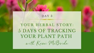 Day 3 Your Plant Path Live with Kami