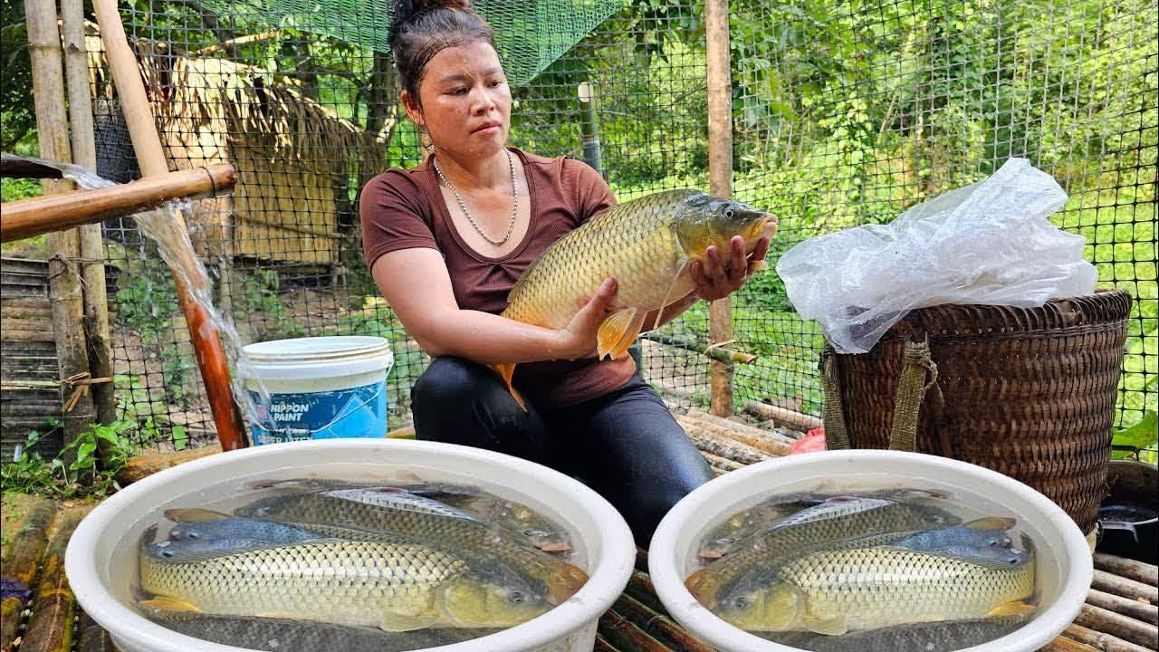 Single Girl Drains Pond & Catches Giant Carp 🐟 | Fishing, Selling & Cooking
