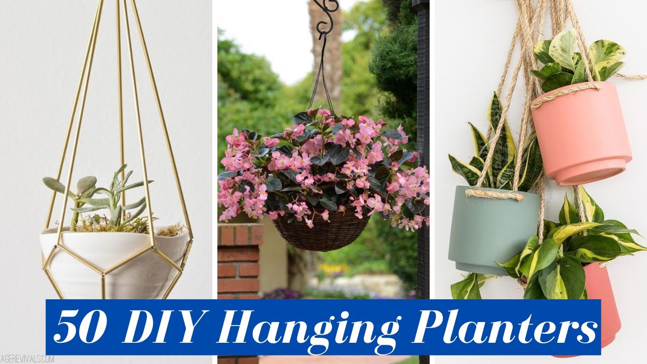 DIY Hanging Planters Indoor Garden YouTube