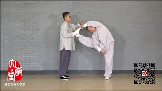 Famous 太极拳基本功 .感恩太极大学堂 Fundamentals of Tradicional Yang Taijiquan: Prof. Yang Dawei,  Prof.Zou Changjun Net Worth