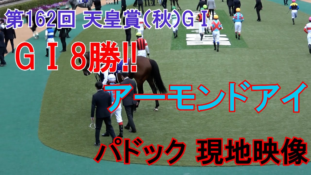 天皇賞】2020 第162回 天皇賞（秋）GⅠ パドック 現地映像 アーモンド