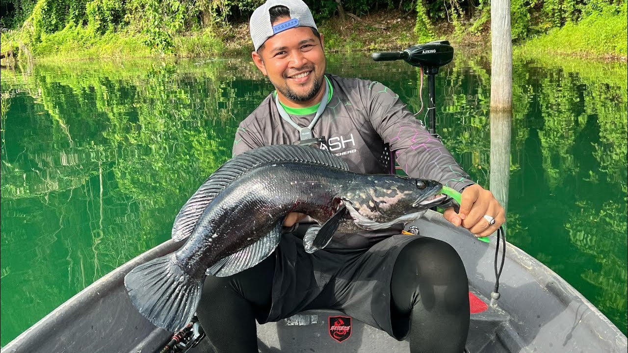 Toman Tasik Kenyir Agak Meriah Minggu BuLan Gelap‼️