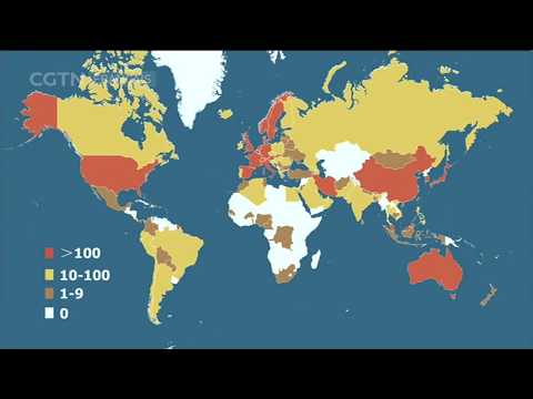 Les derniers chiffres sur l'épidémie de COVID-19 Les derniers chiffres sur l'épidémie de COVID-19