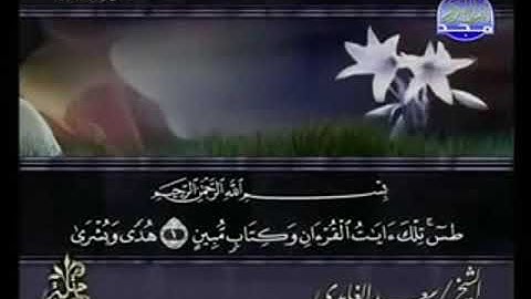 سورة النمل من الآية 1 الى الآية  22