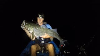 Kayaking for Big Fish in the Dark. Summer Striped Bass Fishing!