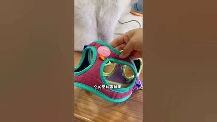 选个合适的猫咪背带，只是第一步哦，还是需要家长们耐心慢慢来～#萌宠好物 #猫咪牵引绳 | 房车 | 环游中国 | 猫 | 房车旅行 - 天天要闻