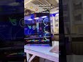 Asus Rog gaming pc 😘 #gaming #unboxing #nvidia #desktop #pcgames #fashion #server