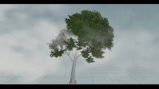 Tree simulation Houdini