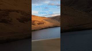 Суперское Рыбацкое Место в Орегоне для Классической Рыбалки!🎣🐋🐬🙂👍 #shorts #шортс
