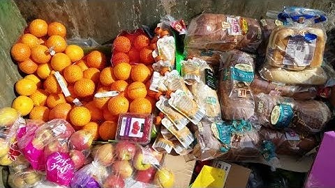 DUMPSTER DIVING ALDI DAILY VIDEO #63