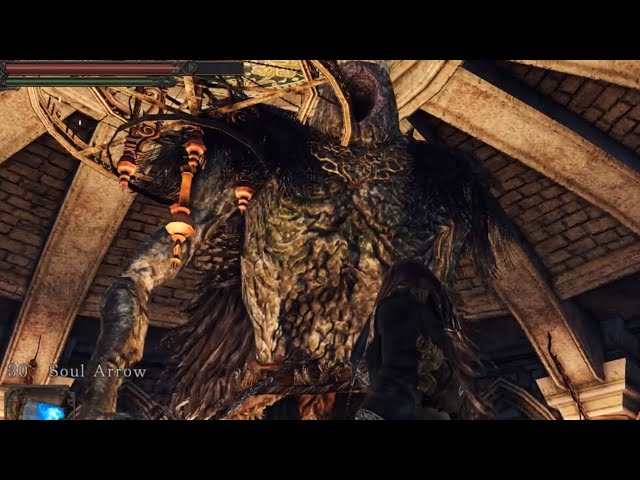 Dark Souls 2 Enemy Randomizer mod is a game changer