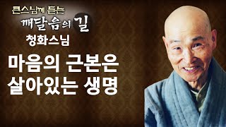 마음의 근본은 살아있는 생명 _ 청화스님 [큰 스님께 듣는 깨달음의 길]