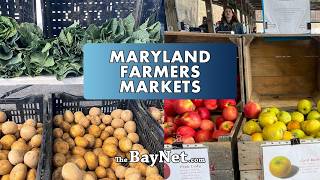 Maryland Farmers Markets Are Back — And You’re Missing Out If You’re Not Going