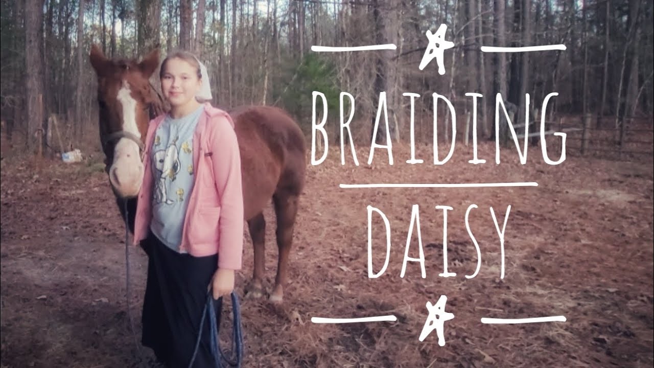 Braiding Daisy