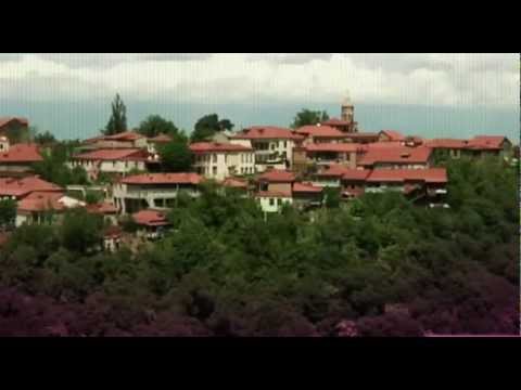 საქართველოს მომავლის ქრონიკა 2013-2016