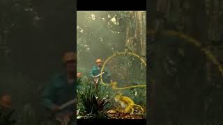 දගරවලග Music Edit Full Video Link In Description