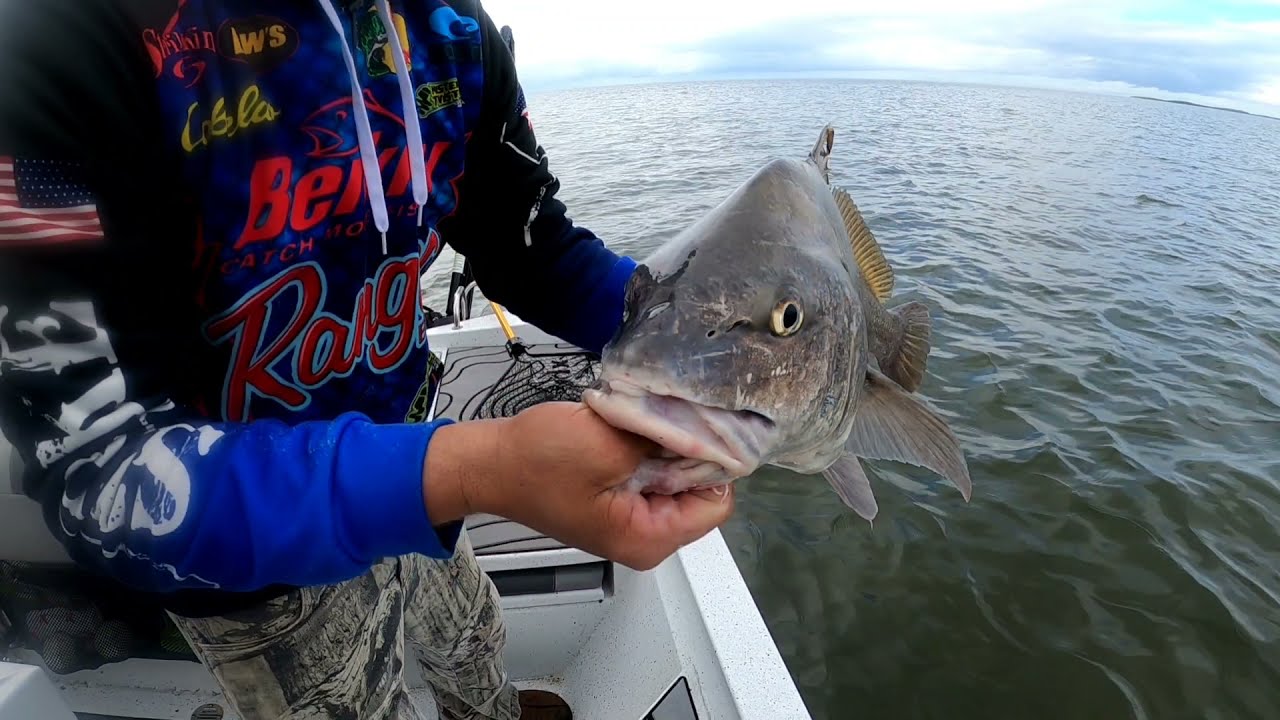 Trying to find Grouper in Homosassa FL (fishing with big swimbaits