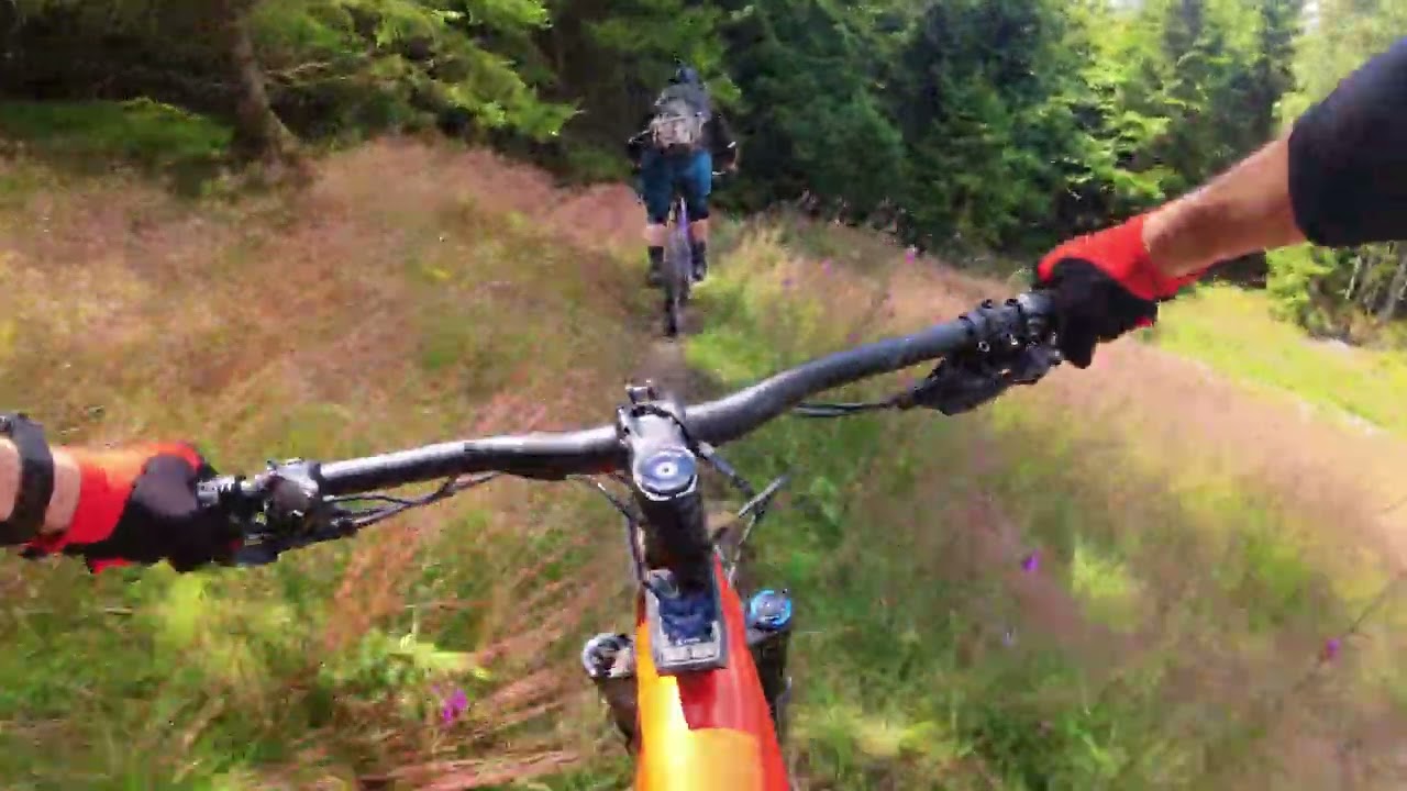 Balver Wald 14 07 24