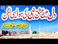 نور مدینہ ﷺ دلوں کو چھو لینے والی وائرل نعت