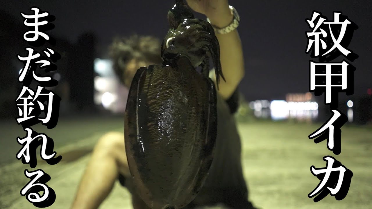 いまだにエギングをしているのです Style By Dreadnote