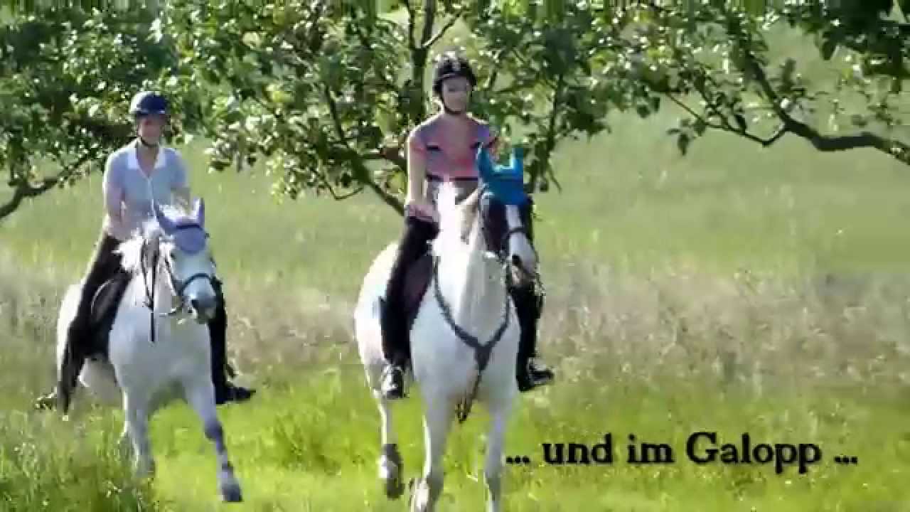 Judy´s Reitstall - Schammelsdorf