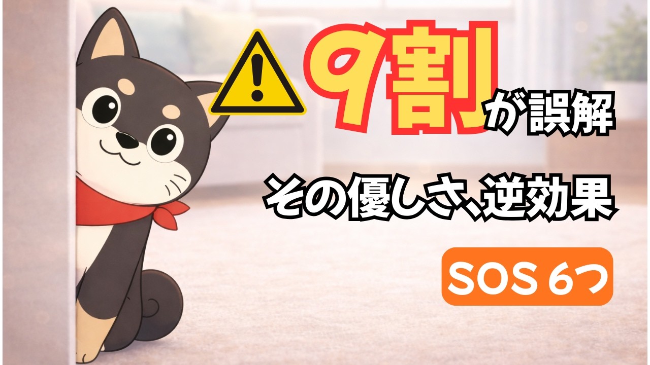 【逆効果？！】9割が誤解している「愛犬を不幸にする」NG飼い方6選