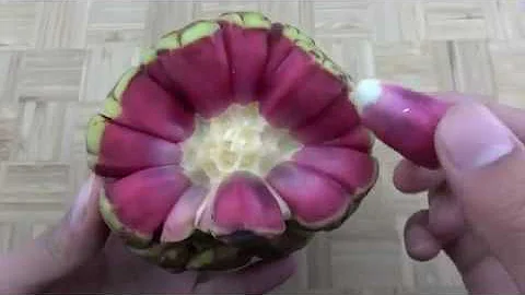 长的像手榴弹的“布福娜水果”,不但果肉鲜红味道还有点甜! - 天天要闻