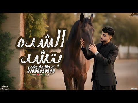 الشده بتشد جديد وحصري عبدالله ابو شعر2025 من وين يصقر