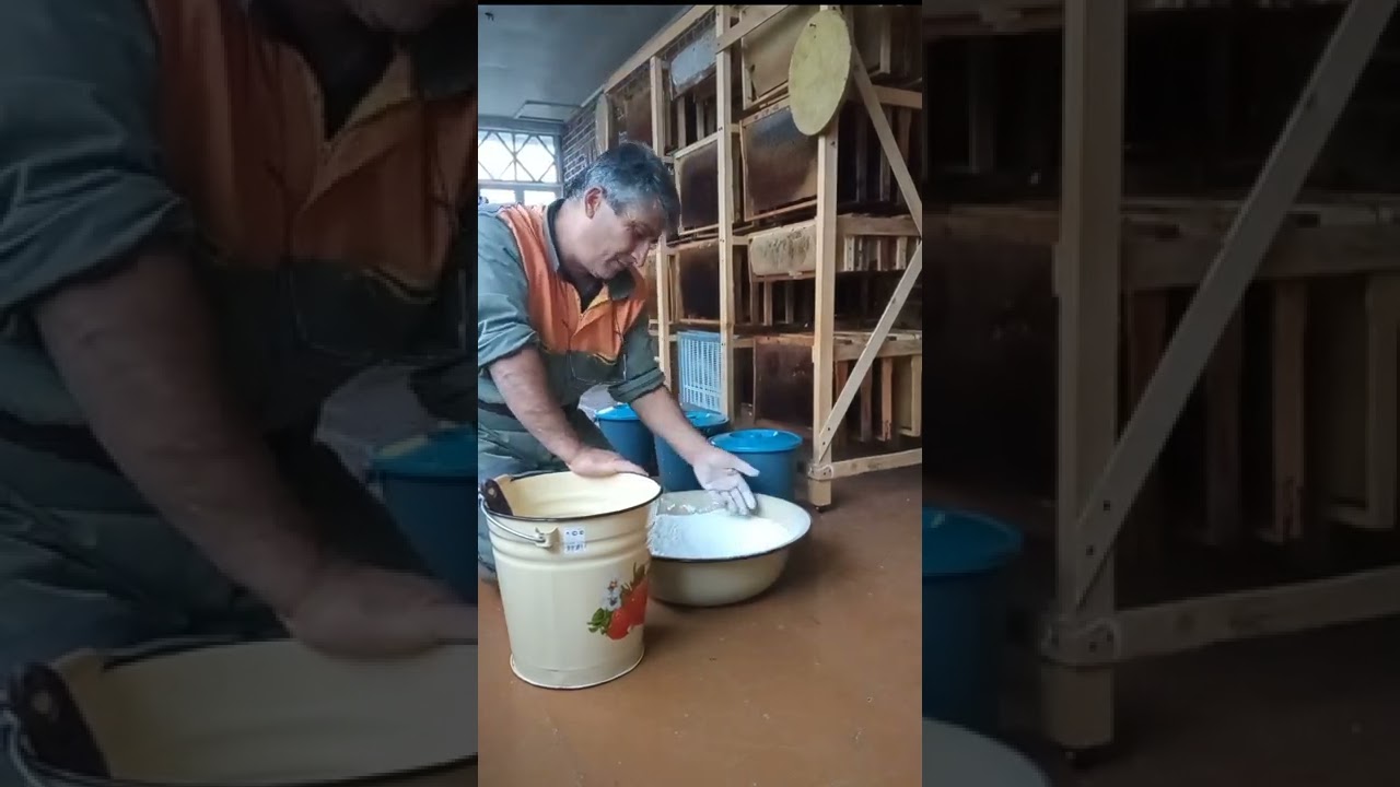 Xüsusi qurğu ilə şəkər kirşanı və arı yemi ( keki ) hazırlanması. A - dan Z - yə.