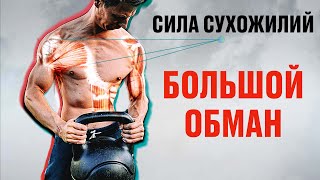 ПОЧЕМУ ВОРКАУТЕРЫ ТАК СИЛЬНЫ? МОЩЬ СУХОЖИЛИЙ!