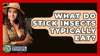 Famous What Do Stick Insects Typically Eat? - Ecosystem Essentials Wealth