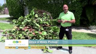 Talking Trash with Public Works Yard Waste