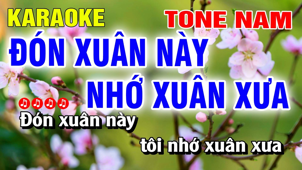 Đón Xuân Này Nhớ Xuân Xưa Karaoke Tone Nam Nhạc Sống | Nguyễn Linh